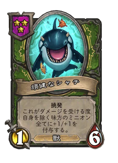 頑健なシャチ